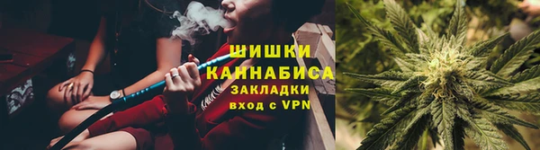 ГАЛЛЮЦИНОГЕННЫЕ ГРИБЫ Белокуриха