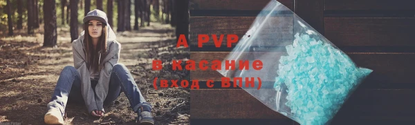 кокс Богородицк