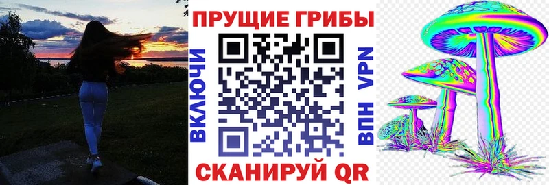 Купить где  Кудымкар  Галлюциногенные грибы прущие грибы 